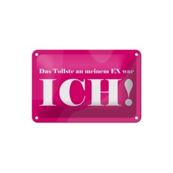 Das Tollste an meinem EX war, ICH ! - Blechschild 18 x 12 cm