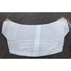 Fronthaube Lamborghini Gallardo Bonnet Lamborghini Gallardo LP560 400823155B